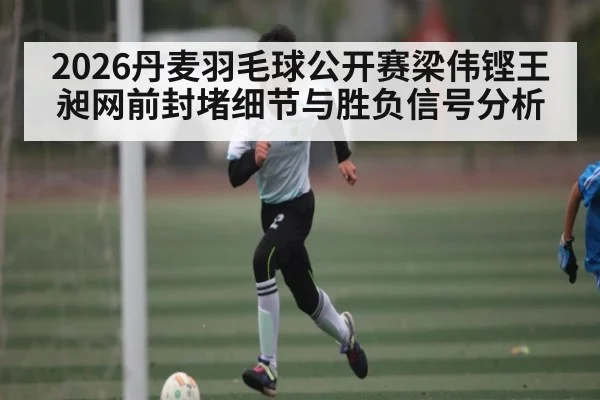 2026丹麦羽毛球公开赛梁伟铿王昶网前封堵细节与胜负信号分析
